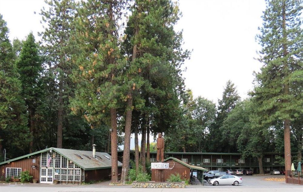 Shasta Inn Mount Shasta Exterior foto
