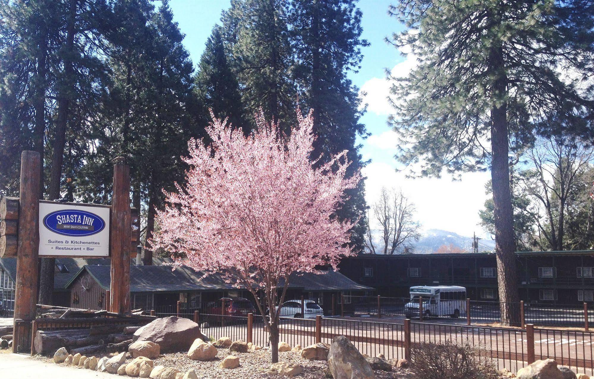 Shasta Inn Mount Shasta Exterior foto